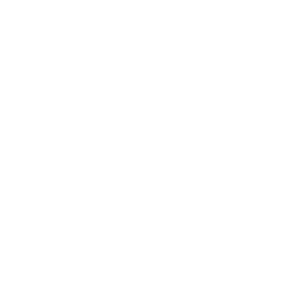 piggy bank icon