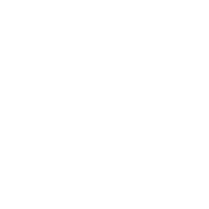 laptop icon