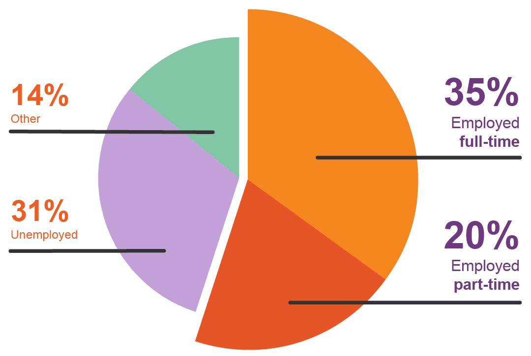 35% of our new clients are employed full-time, 20% are employed part-time, 31% are unemployed, and 14% are employed in other ways